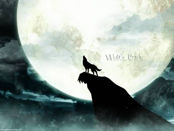 anime wolf chibi. Anime Wolf- Wolf#39;s Pride