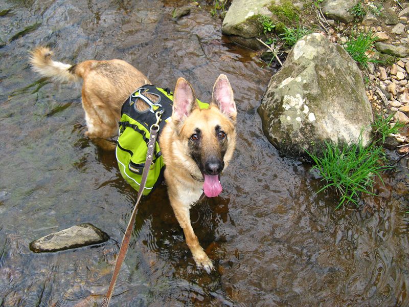 IMAGE: http://i641.photobucket.com/albums/uu134/stregone_2009/Forum%20Junk/CanonEOS1DMarkIII0401.jpg