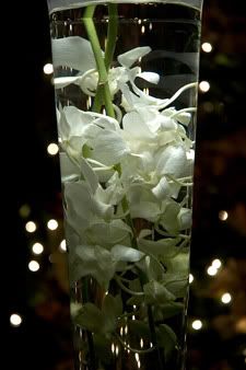 Submerged Orchid Centerpiece Pictures, Images and Photos