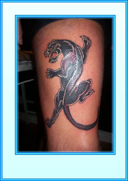 panther tattoo asylum edinburgh Image