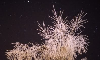 frozenfireworks.jpg