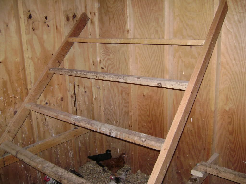 Bleacher type roosting bars...