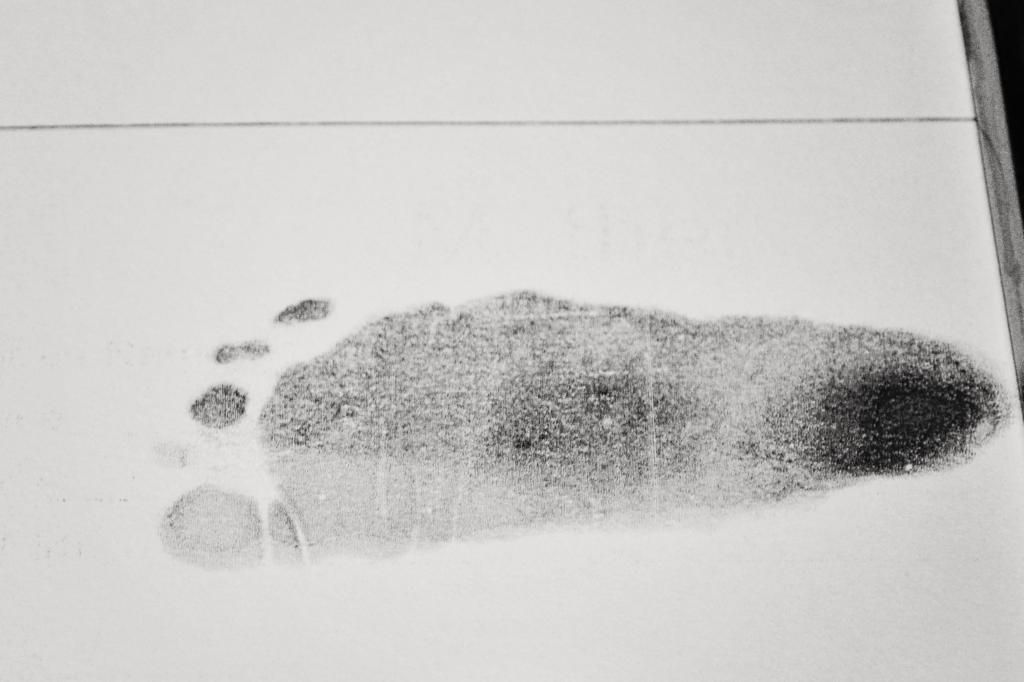  photo footprint.jpg