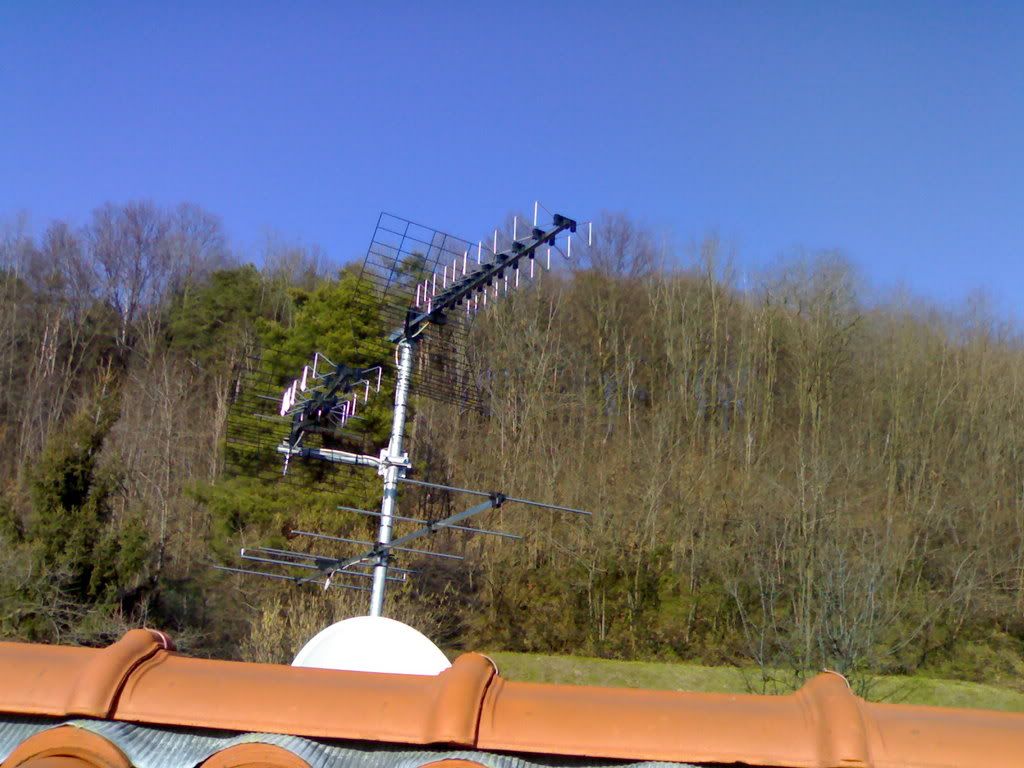 29012009182.jpg