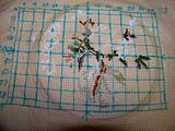 cross-stitch