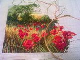 cross-stitch
